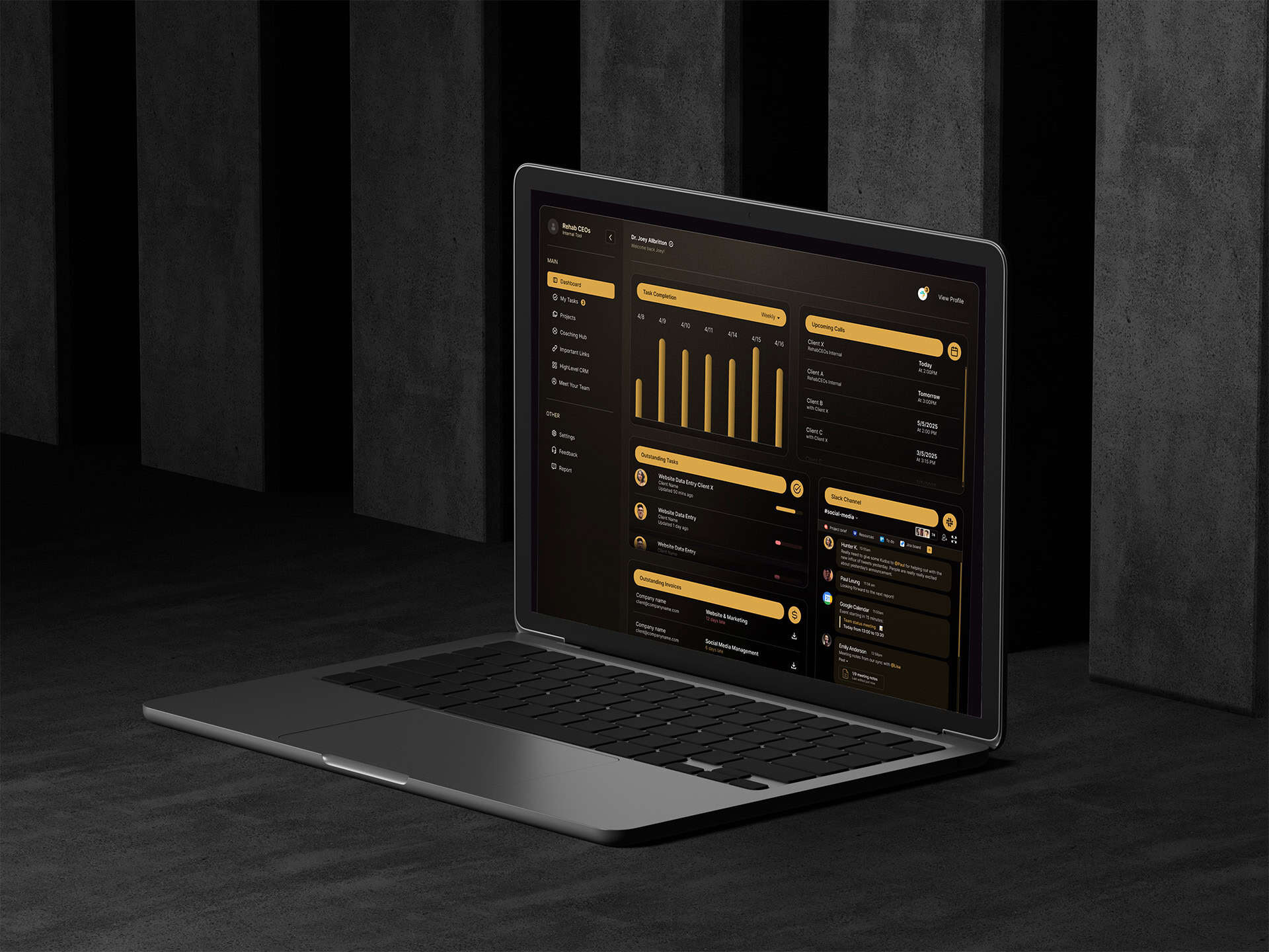 Rehab CEOs client interface